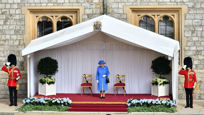 Trotz WM-Pleite: Fans fordern Ritterschlag für England-Coach
