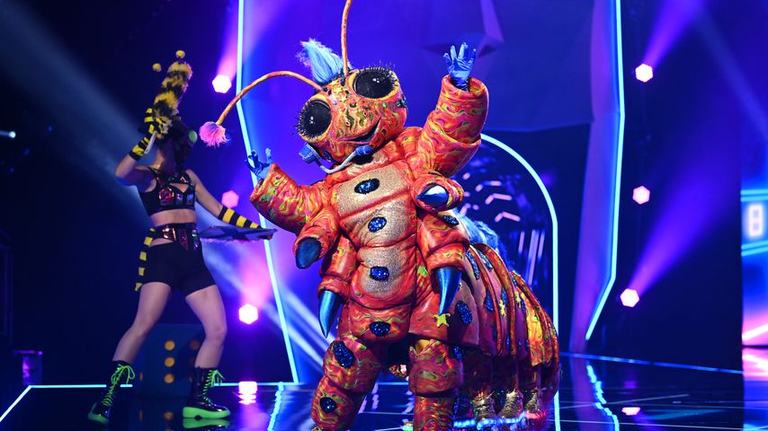 Die "The Masked Singer"-Raupe: Alle Indizien zum Mitraten