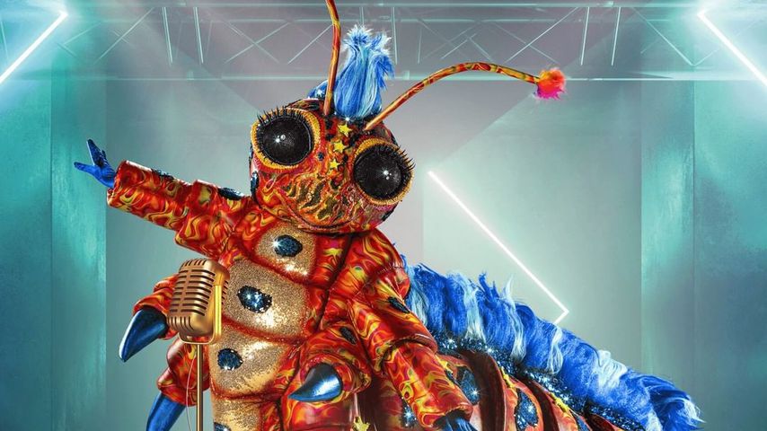 Die Raupe, "The Masked Singer"-Kostüm