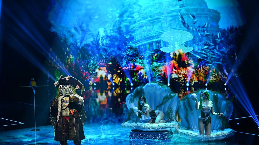 Die Schildkröte bei "The Masked Singer"