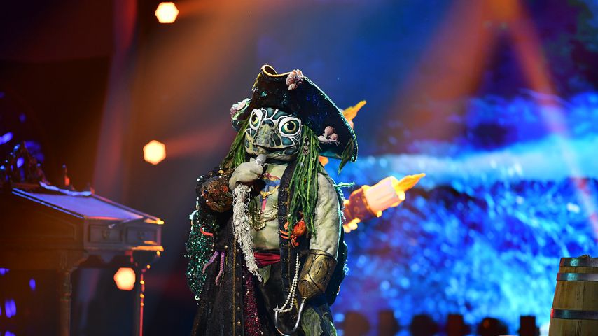 Die Schildkröte bei "The Masked Singer"