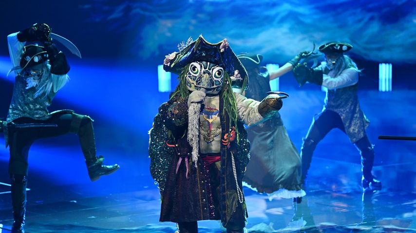 Die Schildkröte bei "The Masked Singer"