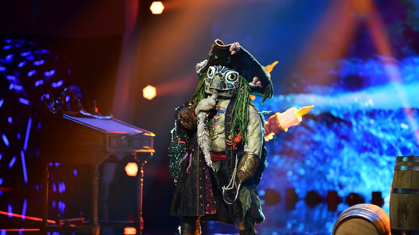 Die Schildkröte bei "The Masked Singer"