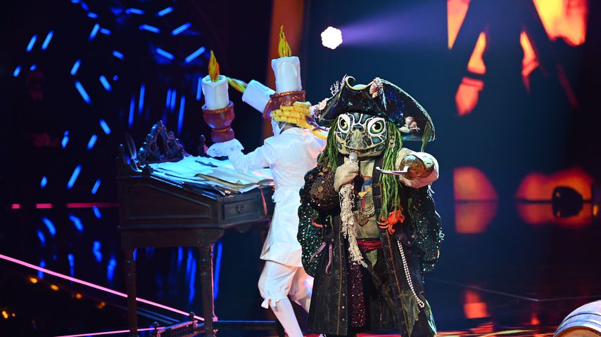 Die Schildkröte bei "The Masked Singer"