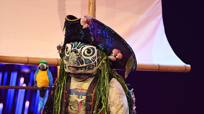 Die Schildkröte bei "The Masked Singer"