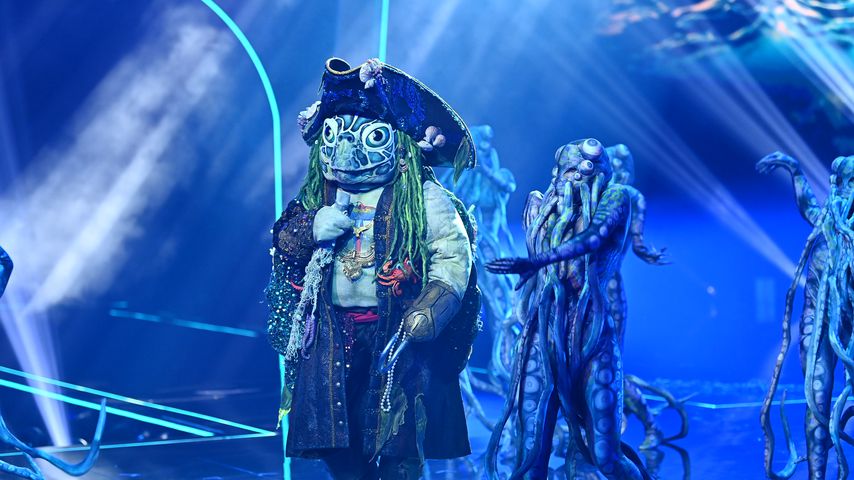 Finale: Alle Indizien zur "The Masked Singer"-Schildkröte