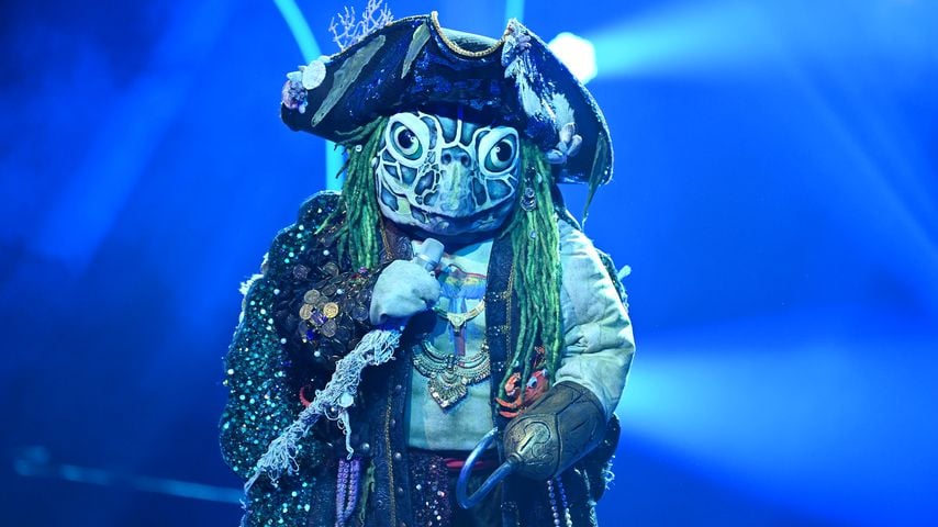 Die Schildkröte bei "The Masked Singer"