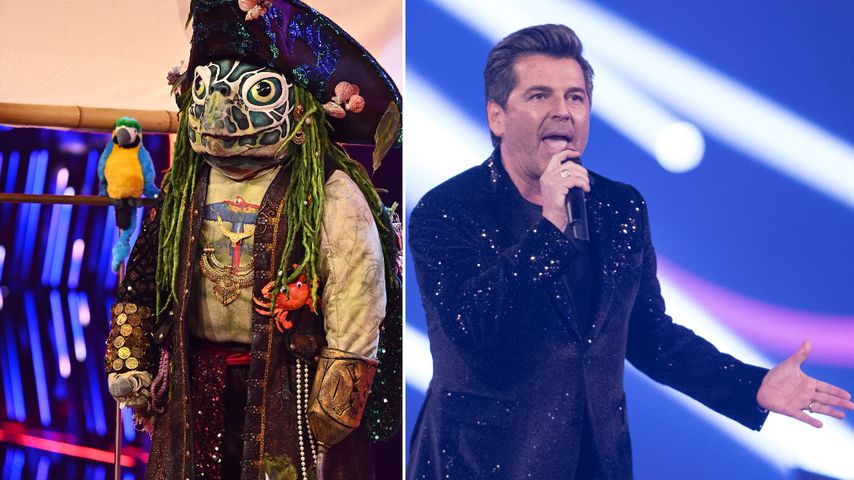 Diese "The Masked Singer"-Indizien passen zu Thomas Anders