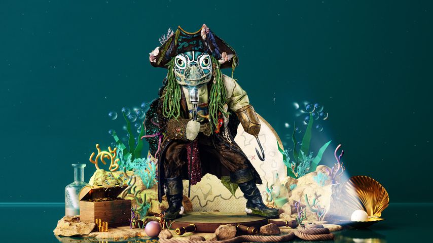 Die Schildkröte bei "The Masked Singer"