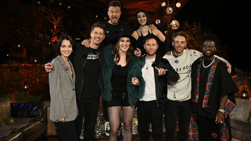 Die "Sing meinen Song"-Stars 2022
