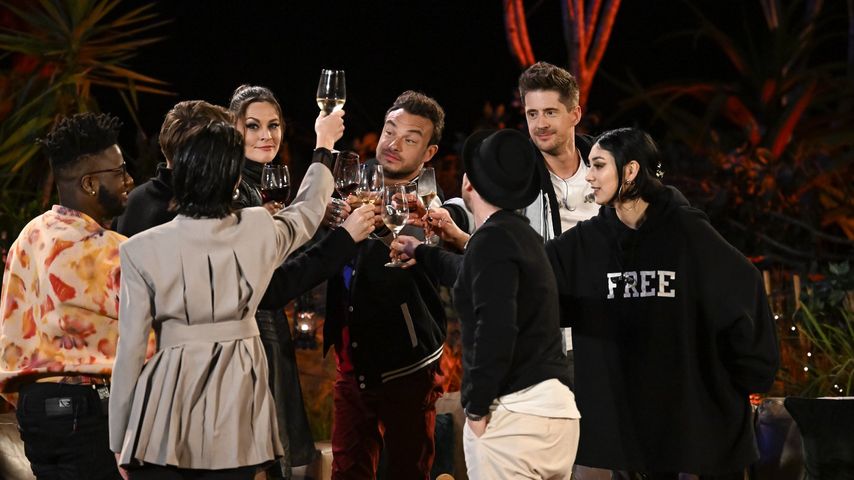 Die "Sing meinen Song"-Stars 2022