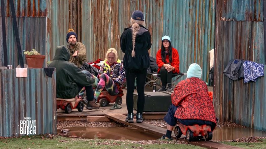 Die Teilnehmer von "Das große Promi-Büßen" 2025