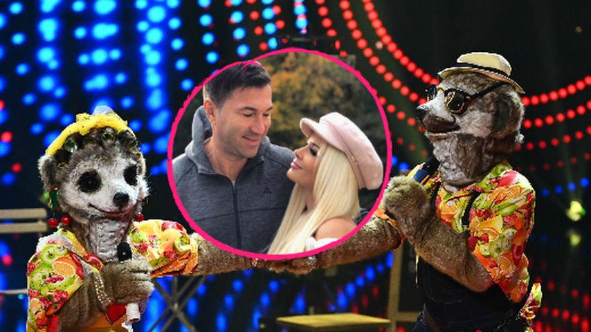 "The Masked Singer"-Erdmännchen: Das deutet auf Dani & Lucas