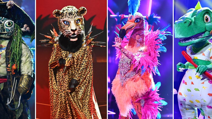 Heute ist das "The Masked Singer"-Finale: Wer soll gewinnen?