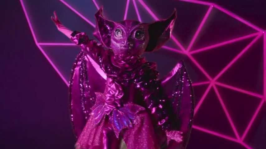 Die "The Masked Singer"-Fledermaus