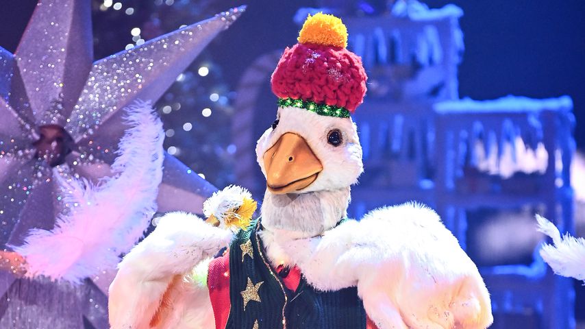 Die "The Masked Singer"-Gans