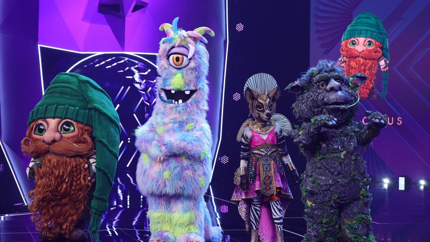 Die "The Masked Singer"-Kandidaten