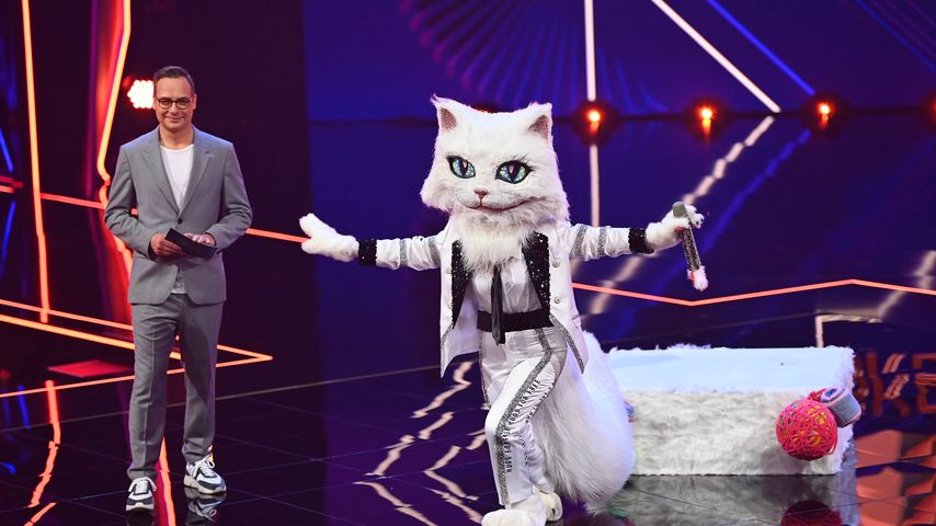 Die "The Masked Singer"-Katze