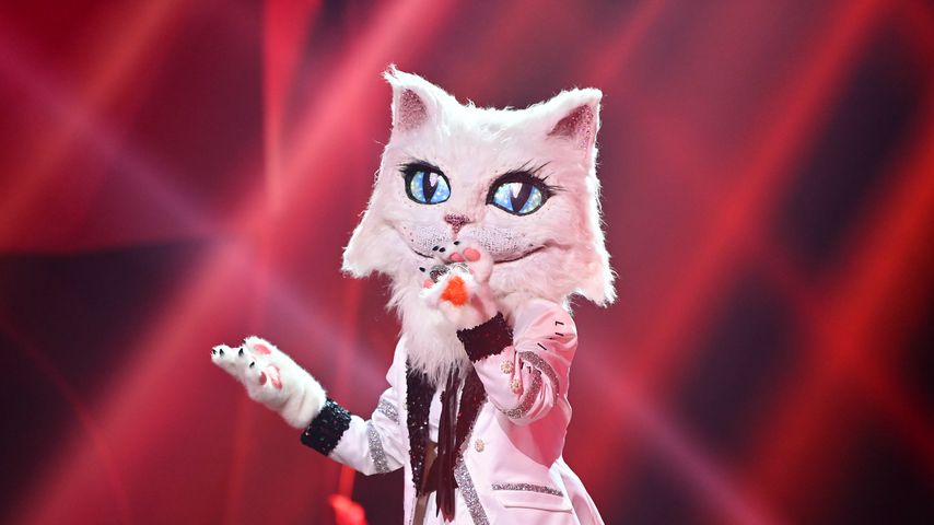 Die "The Masked Singer"-Katze