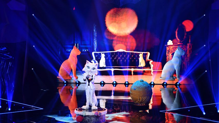 Die "The Masked Singer"-Katze