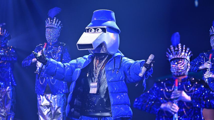 Nächster "The Masked Singer"-Exit: ER war die blaue Pfeife!