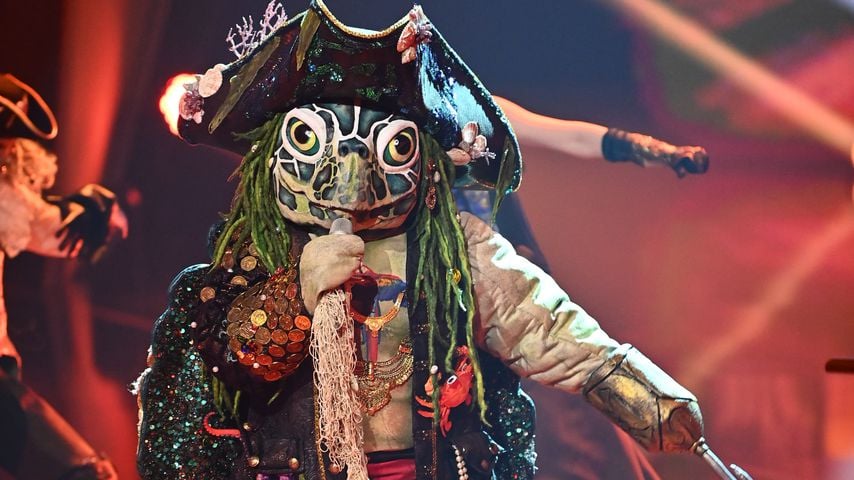 Die "The Masked Singer"-Schildkröte