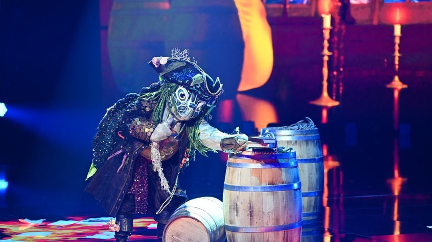 Die "The Masked Singer"-Schildkröte