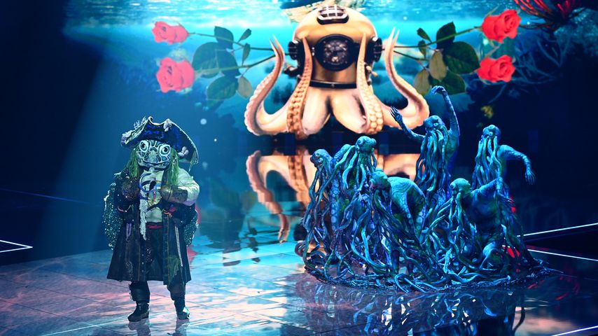 Die "The Masked Singer"-Schildkröte