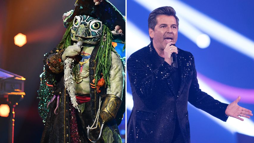 Collage: Die "The Masked Singer"-Schildkröte und Thomas Anders
