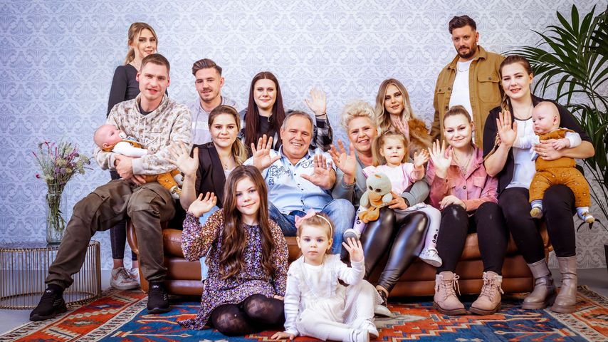 Die Wollnys, TV-Großfamilie