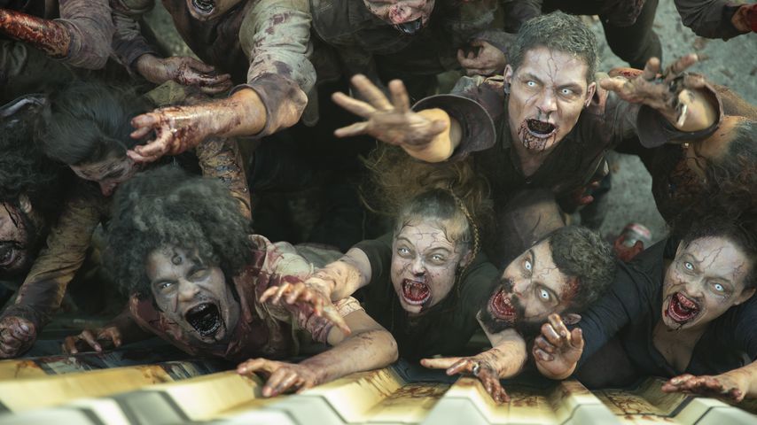 Die Zombies aus "Reality Z"