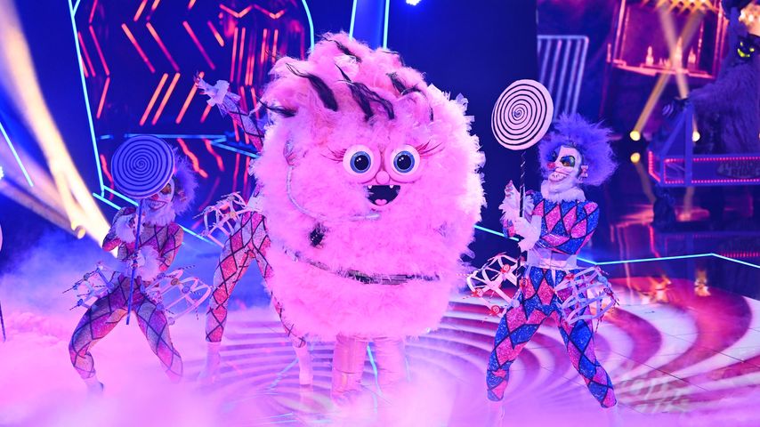 Die Zuckerwatte bei "The Masked Singer"