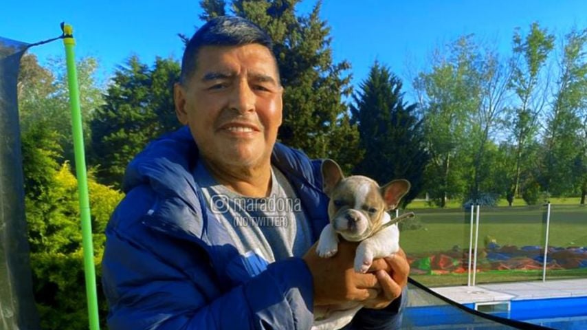 Diego Maradona mit seinem Hund Lola im September 2020
