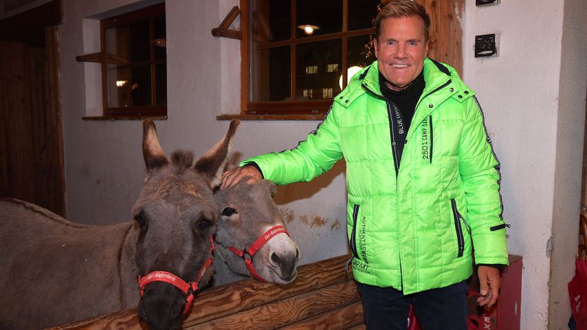 Dieter Bohlen bei der Eröffnung des "Gut Aiderbichl"-Weihnachtsmarkts in Henndorf am Wallersee 2019
