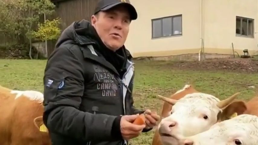 Dieter Bohlen im Oktober 2020
