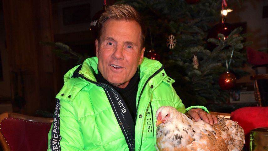 Dieter Bohlen mit einem Huhn im November 2019
