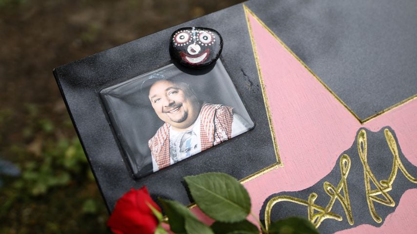 Rückblick: Zwölf Dschungelcamp-Stars sind bereits verstorben