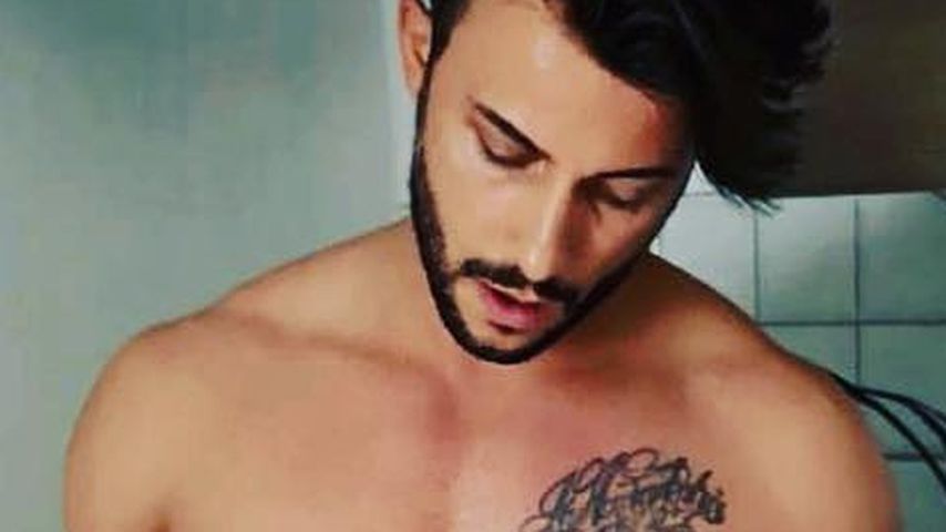 Domenico de Cicco, TV-Star