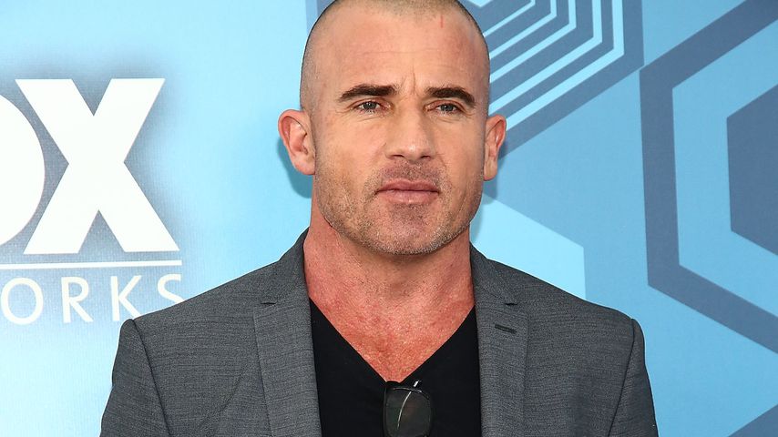 Dominic Purcell, Schauspieler