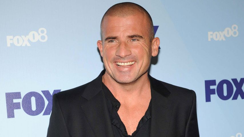 Dominic Purcell, 2008