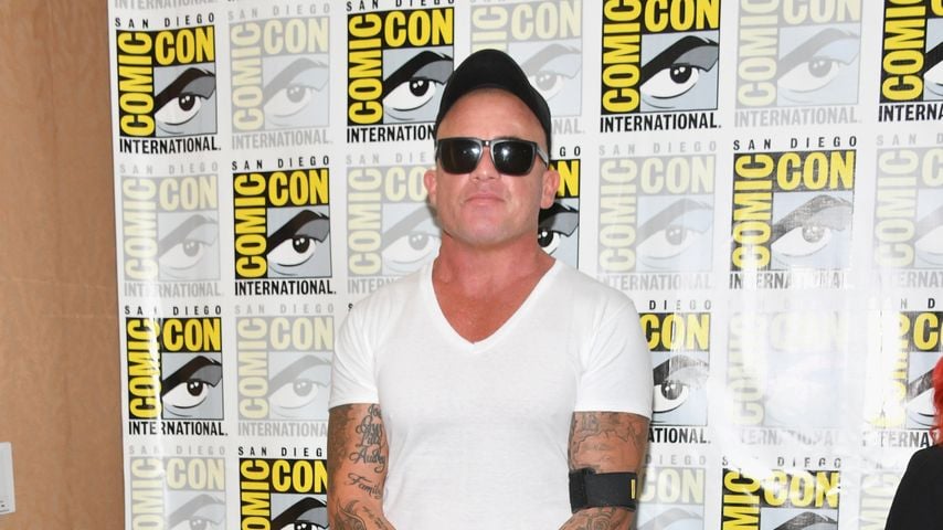 Dominic Purcell, Schauspieler
