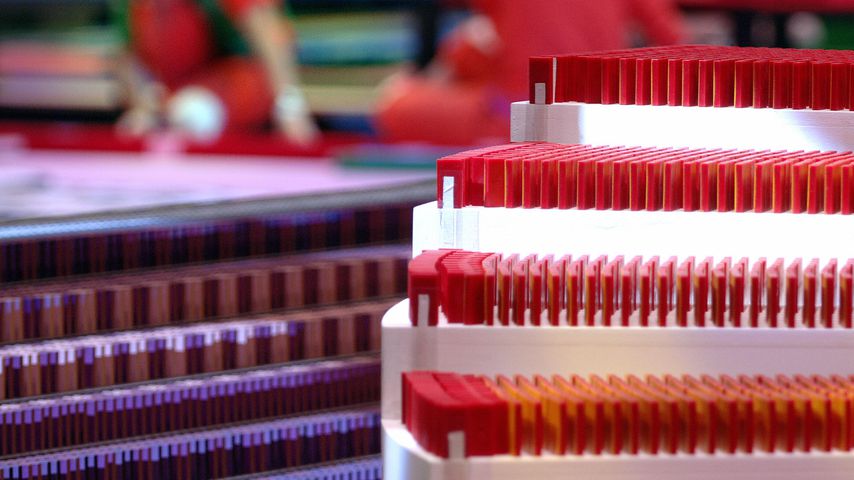 Domino-Steine beim "Domino Day" 2006