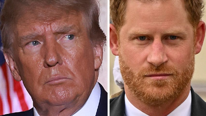 Donald Trump und Prinz Harry