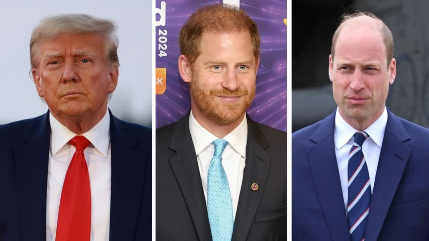 Donald Trump, Prinz Harry und Prinz William
