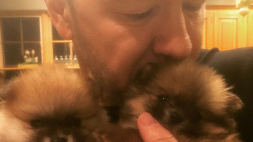 Donnie Wahlberg mit seinen Pomeranians
