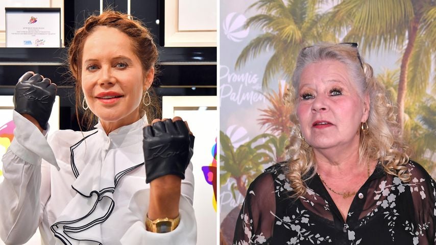 Diebstahlvorwürfe: Doreen Dietel schießt gegen Silvia Wollny