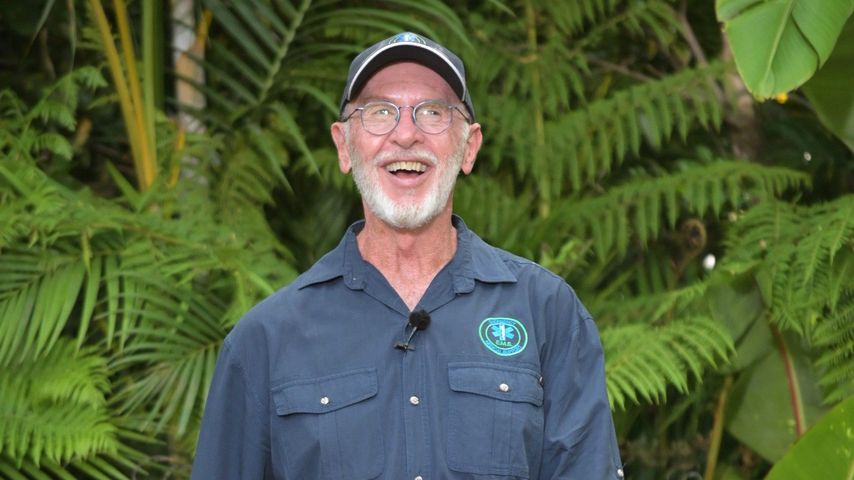 Dr. Bob, Dschungelcamp-Star
