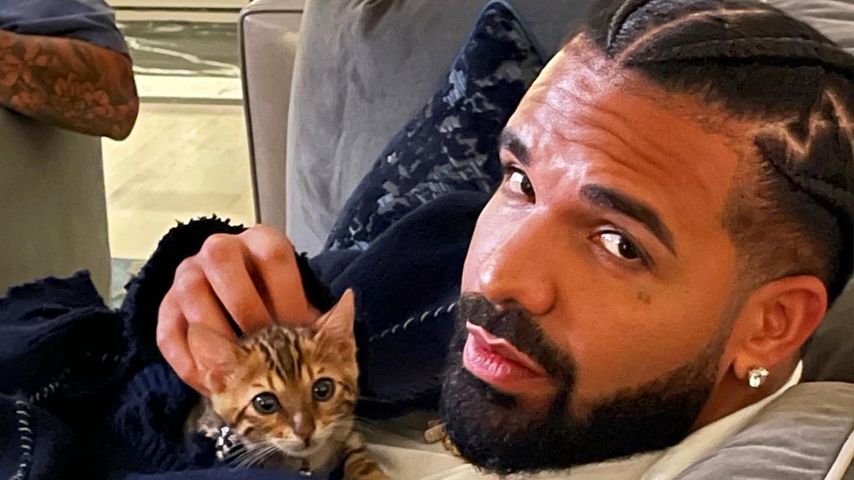 Drake, Musiker