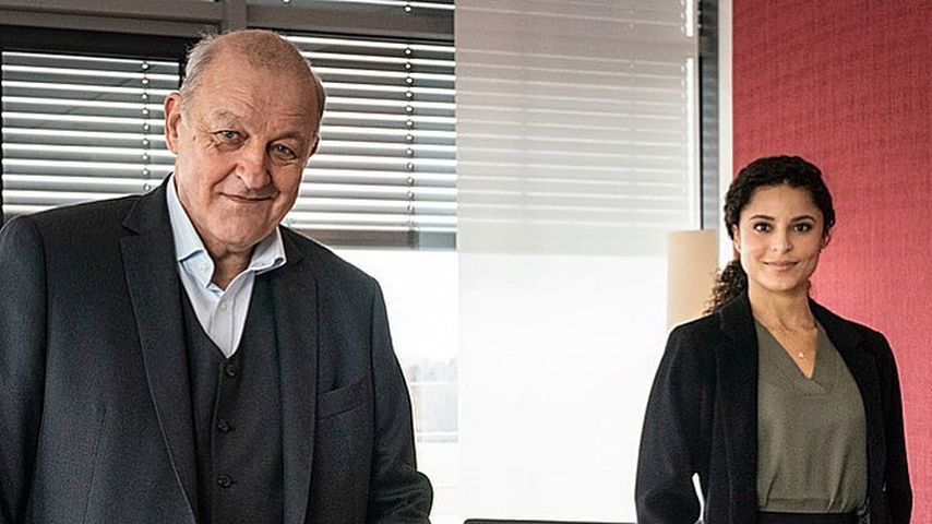 Krimi-Knüller: Neuer "Wilsberg"-Film fliegt aus dem Programm