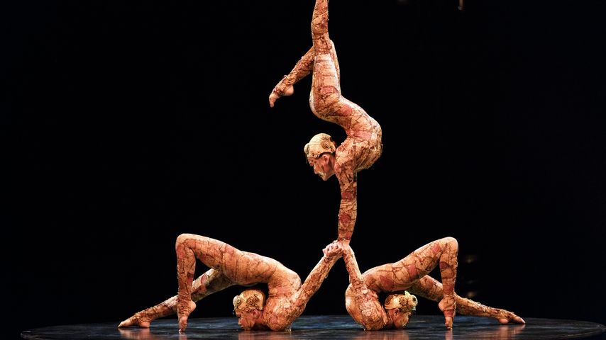 Todes-Sturz: Cirque Du Soleil-Artistin verunglückt